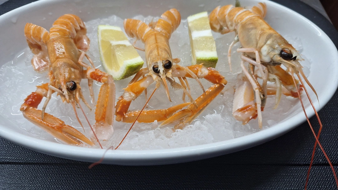 Home Scampi